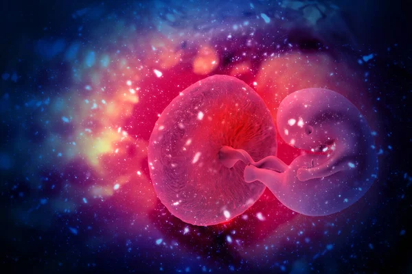 Menselijke Foetus Wetenschappelijke Achtergrond Illustratie — Stockfoto