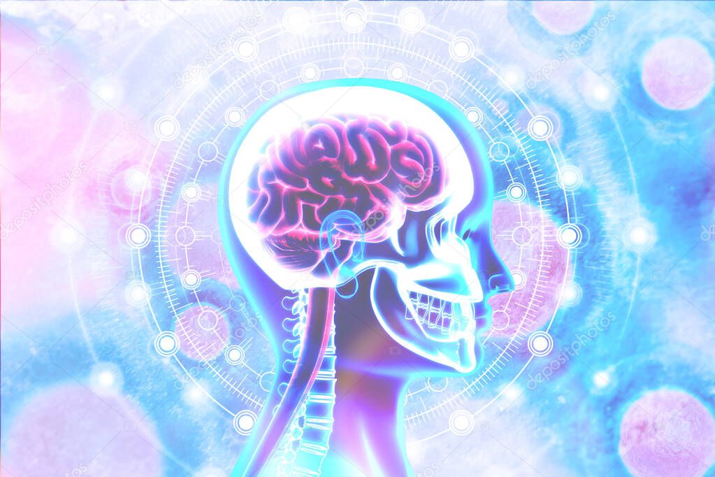 Human brain x-ray view on scientific background. 3d illustratio