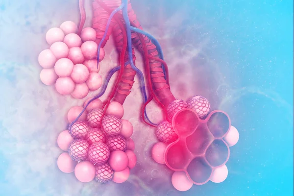 肺里有肺泡3D说明 — 图库照片