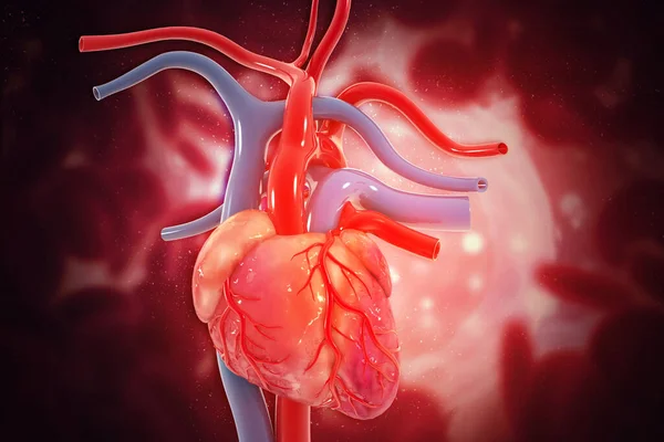 科学背景下的人类心脏 — 图库照片