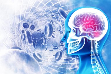 Bilimsel arka planda insan beyni x-ray görüntüsü