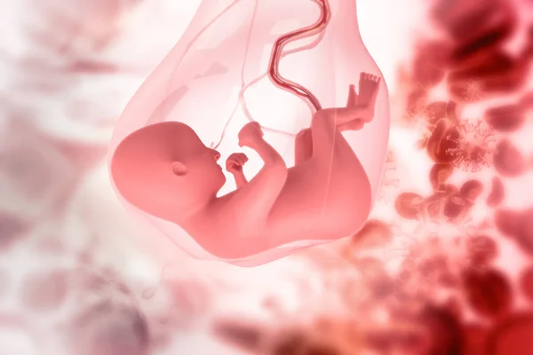 具有科学背景的人类胎儿 — 图库照片