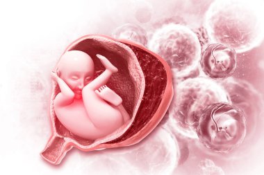 Bilimsel arka planda insan fetüsü. 3d illüstrasyon