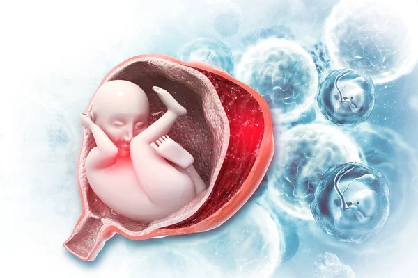 Human Fetus Scientific Background Illustration — Stock Photo, Image
