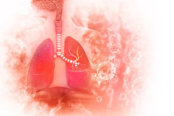 Vírus Bactérias Infectaram Pulmões Humanos Doença Pulmonar Ilustração — Fotografia de Stock