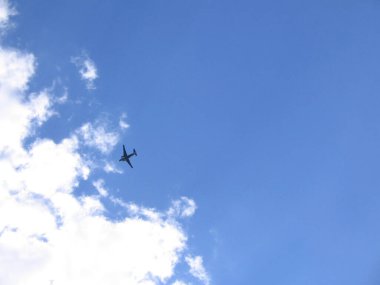 Yaz doğası, renkli ve parlak.