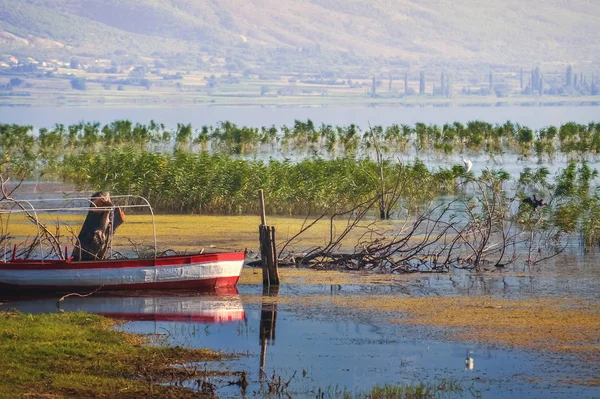 Barco Pesca Abandonado Junto Lago Rodeado Bulrush — Fotografia de Stock