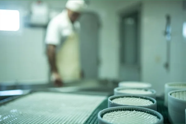 cheese maker preparing cheese