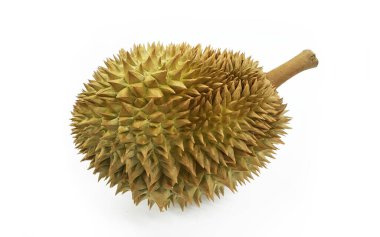 Tayland 'dan Durian, tropikal kıtanın meyve kralı.