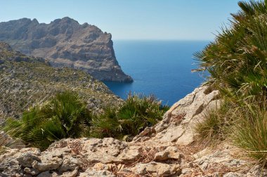 Cape Formentor 'un panoramik manzarası. İlgi odağı, zorunlu turizm ziyareti. Mayorka. Balear Adaları. İspanya