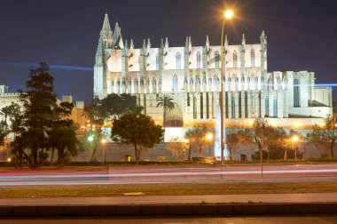 Palma de Mallorca Katedrali Parc de la Mar 'da gece Palma de Mallorca' nın Spainthedral 'inde görüldü.