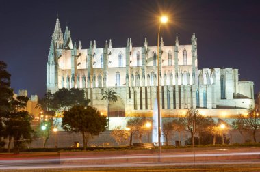 Palma de Mallorca Katedrali Parc de la Mar 'da gece Palma de Mallorca' nın Spainthedral 'inde görüldü.