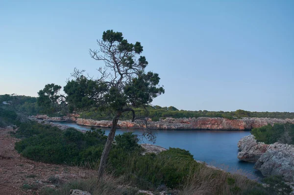 Cala Nau Gyönyörű Öböl Strand Mallorcán Spanyolország Európa — Stock Fotó