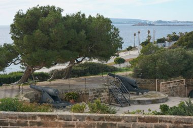 1981 'de San Carlos Kalesi müzesi 26 Eylül 1991' de açıldı ve müze bir müzeye dönüştürüldü. 1997 yılında müzeyi yöneten Castillo de San Carlos Konsorsiyumu kuruldu.