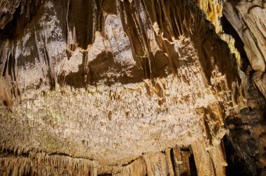 Cueva del Drach 'ta sürekli döngü içinde büyüme ve küçülme, kireçtaşı oluşumları, sarkıtlar, dikitler, sütunlar, epelevrenler