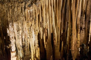 Cueva del Drach 'ta sürekli döngü içinde büyüme ve küçülme, kireçtaşı oluşumları, sarkıtlar, dikitler, sütunlar, epelevrenler