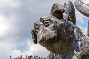 Dzok anıt - Krakow (Polonya köpek)