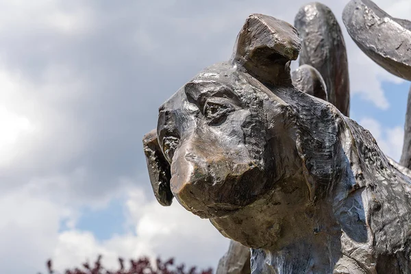 Dzok anıt - Krakow (Polonya köpek)