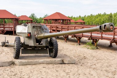 Klucze 'deki Bledowska Çölü' nde 
