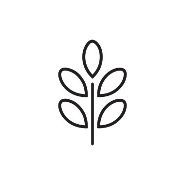 Simge yaprak moringa basit çizgiler beyaz sırtlı izole bir kavram