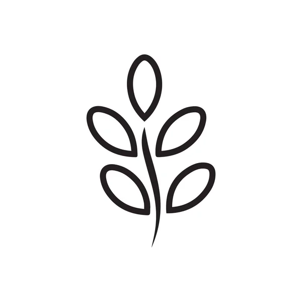 Moringa Levél Ikon Szimbólum Design Vektor — Stock Vector