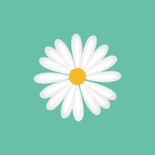 Daisy Camomila Flor Ícone Design Vetor Ilustração — Vetor de Stock