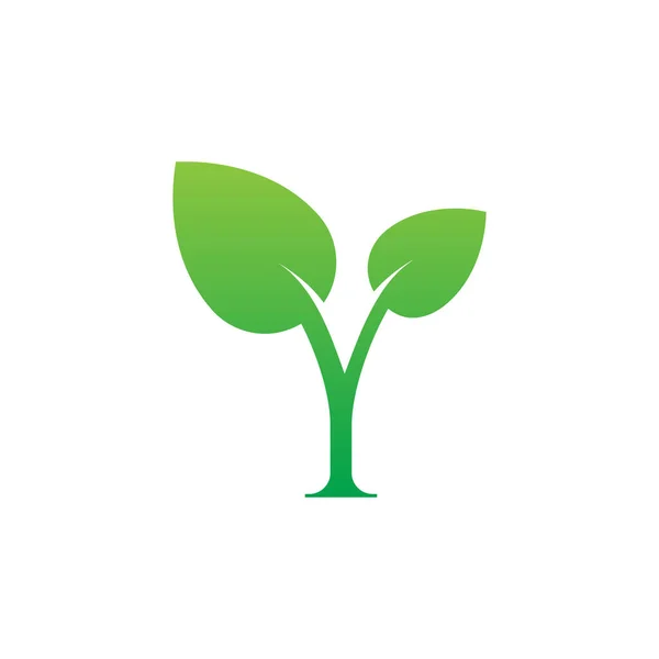 Folha Planta Letra Logotipo Conceito Design —  Vetores de Stock