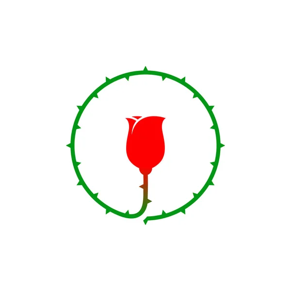 Цветок Розы Круглым Колючим Стеблем — стоковый вектор