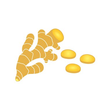 Dilimli zencefil tasarım vektörü illüstrasyonu