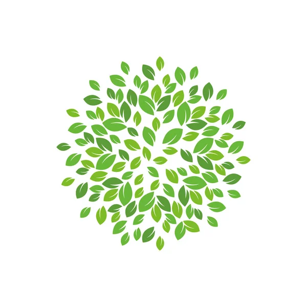 Φύλλα Φύση Σχεδιασμό Διάνυσμα Εικονογράφηση — Διανυσματικό Αρχείο