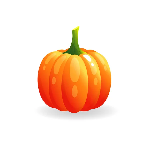 Illustration vectorielle citrouille orange. Citrouille d'Halloween d'automne, icône graphique végétale ou imprimé, isolé sur fond blanc. — Image vectorielle