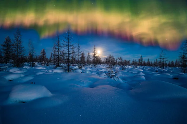 Zimowy Krajobraz Nocy Lasem Księżycem Północnym Światłem Nad Lasem Skały — Zdjęcie stockowe