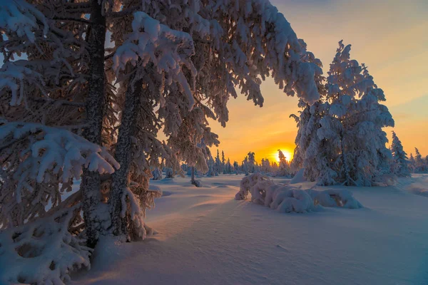 Vintersnølandskap Med Skog Trær Snøskred Blå Himmel Vinterlandskap – stockfoto