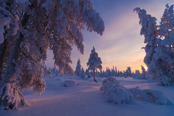 Winterlandschap Met Bos Bomen Besneeuwde Kliffen Blauwe Lucht Winterlandschap — Stockfoto