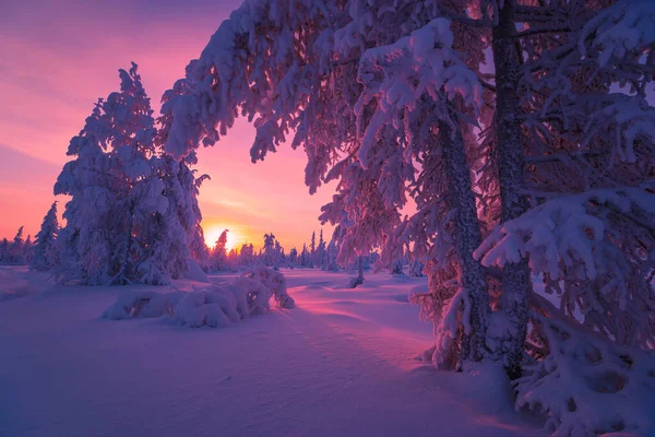 Зимовий Снігопад Лісом Деревами Сніжними Скелями Блакитне Небо Зимовий Пейзаж — стокове фото