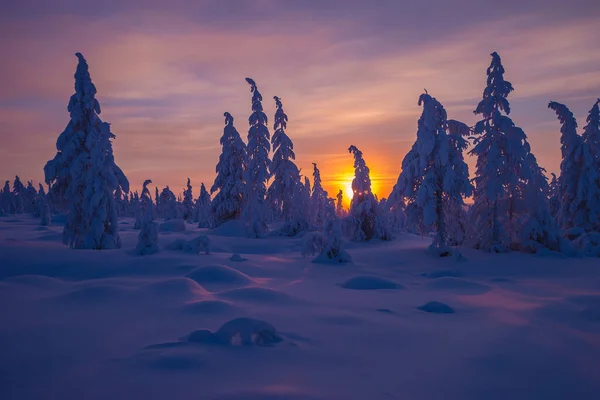 Winterliche Schneelandschaft Mit Wald Bäumen Und Schneebedeckten Klippen Blauer Himmel Stockfoto