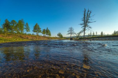 Yaz günü manzarası nehir, orman, mavi gökyüzünde bulutlar ve güneş.