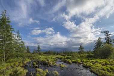 Yaz günü manzarası nehir, orman, mavi gökyüzünde bulutlar ve güneş.