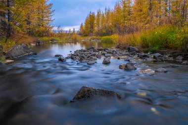 Yaz günü manzarası nehir, orman, mavi gökyüzünde bulutlar ve güneş.