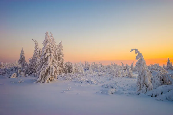 Paesaggio Nevoso Invernale Con Foresta Alberi Scogliere Innevate Cielo Blu — Foto Stock