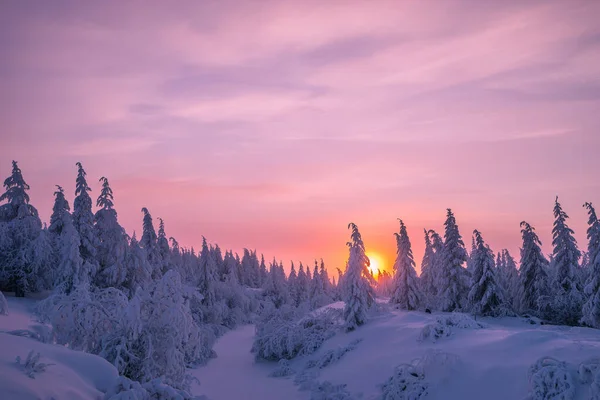 Paesaggio Nevoso Invernale Con Foresta Alberi Scogliere Innevate Cielo Blu — Foto Stock
