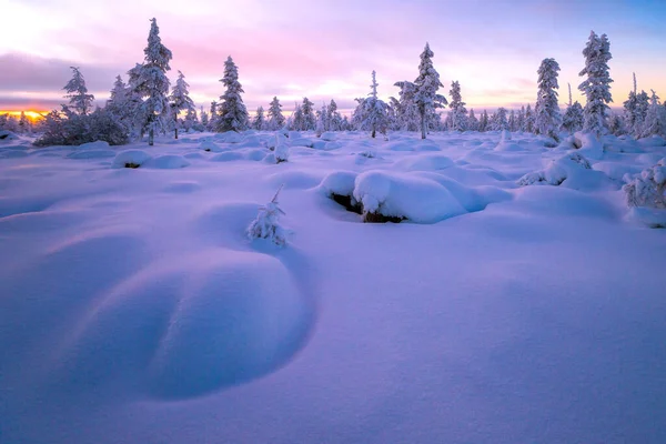 Зимовий Етап Снігопад Ліс Захід Сонця Дерева — стокове фото