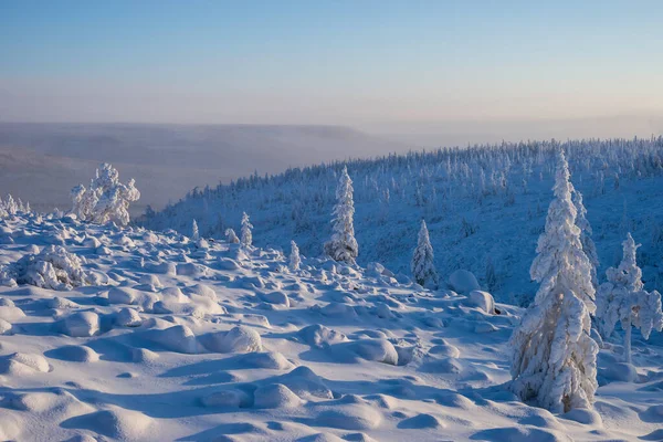 Winterliche Schneelandschaft Mit Wald Bäumen Und Schneebedeckten Klippen Blauer Himmel Stockbild
