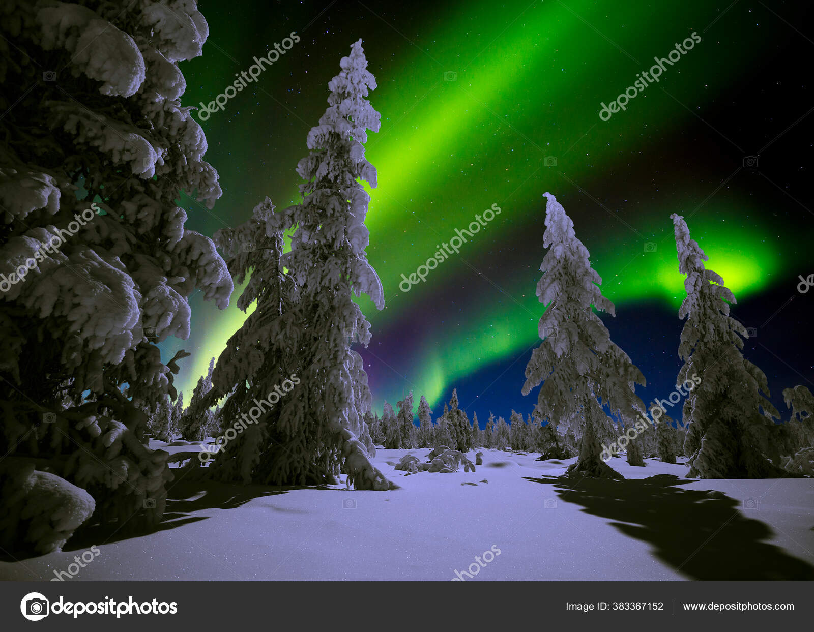 北极光北极光覆盖在白雪覆盖的森林之上美丽的画面展现了五彩缤纷的绿色充满活力的极光也被称为夜空中的北极光——, image size:1600x1243