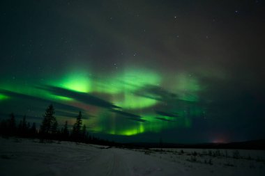 Kuzey Işıkları - Karla kaplı ormanın üzerinde Aurora borealis. Aurora Borealis 'in, Aurora Polaris' in, gece gökyüzündeki Kuzey Işıkları olarak da bilinen muazzam yeşil renkli güzel bir resmi.