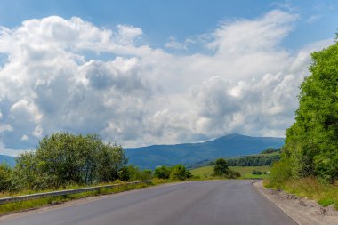 Güzel yaz manzarası. Mavi gökyüzünün altında beyaz kabarık bulutlu ormanlar ve kır çiçekleri. Sıcak bir yaz günü. Yaz ormanında bir patika