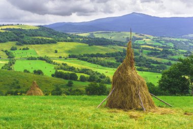 Samanlığı olan güzel bir yaz manzarası. Açık görüş. Yaz perisi. Mavi gökyüzü ve yeşil çimenler. Tepeler ve dağlar. sanat kırsal alan. Saha ve çimenler. Kırsal kesimde yaz mevsimi. Yeşil tarlalar ve tarlalar. Avrupa. Ukrayna