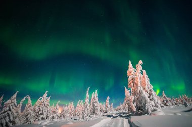 Kuzey Işıkları - Karla kaplı ormanın üzerinde Aurora borealis. Aurora Borealis 'in, Aurora Polaris' in, gece gökyüzündeki Kuzey Işıkları olarak da bilinen muazzam yeşil renkli güzel bir resmi.