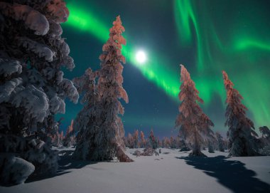 Kuzey Işıkları - Karla kaplı ormanın üzerinde Aurora borealis. Aurora Borealis 'in, Aurora Polaris' in, gece gökyüzündeki Kuzey Işıkları olarak da bilinen muazzam yeşil renkli güzel bir resmi.
