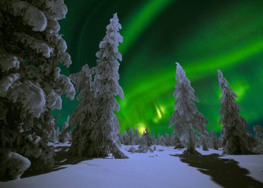 Kuzey Işıkları - Karla kaplı ormanın üzerinde Aurora borealis. Aurora Borealis 'in, Aurora Polaris' in, gece gökyüzündeki Kuzey Işıkları olarak da bilinen muazzam yeşil renkli güzel bir resmi.